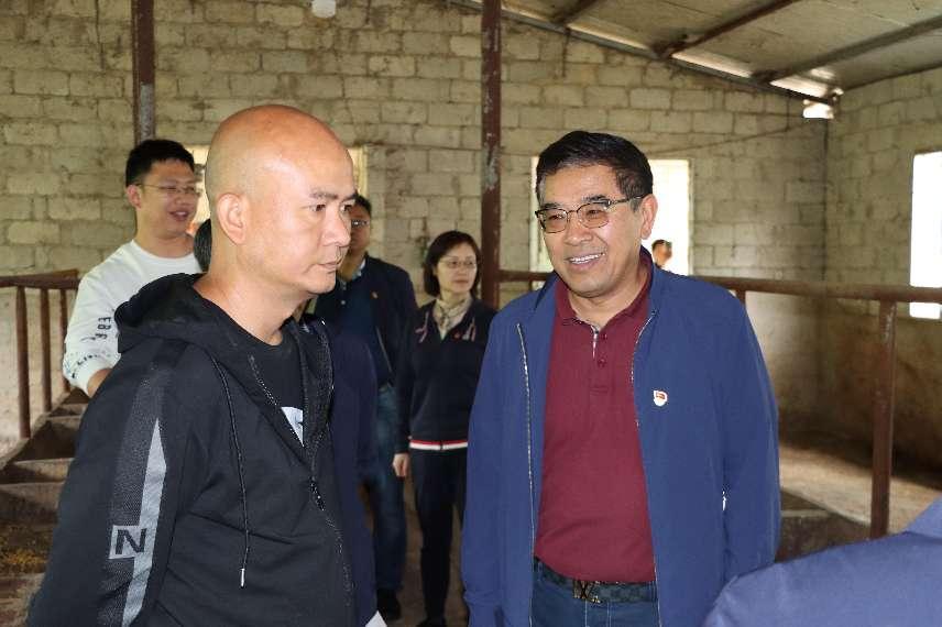 CMD368��������