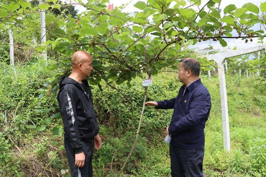 CMD368��������