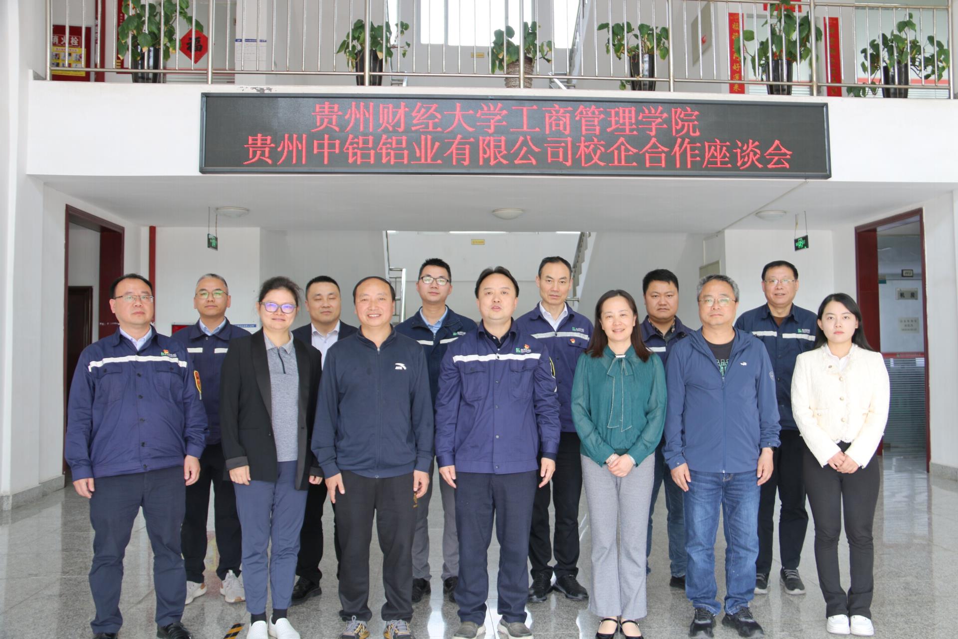 CMD368��������