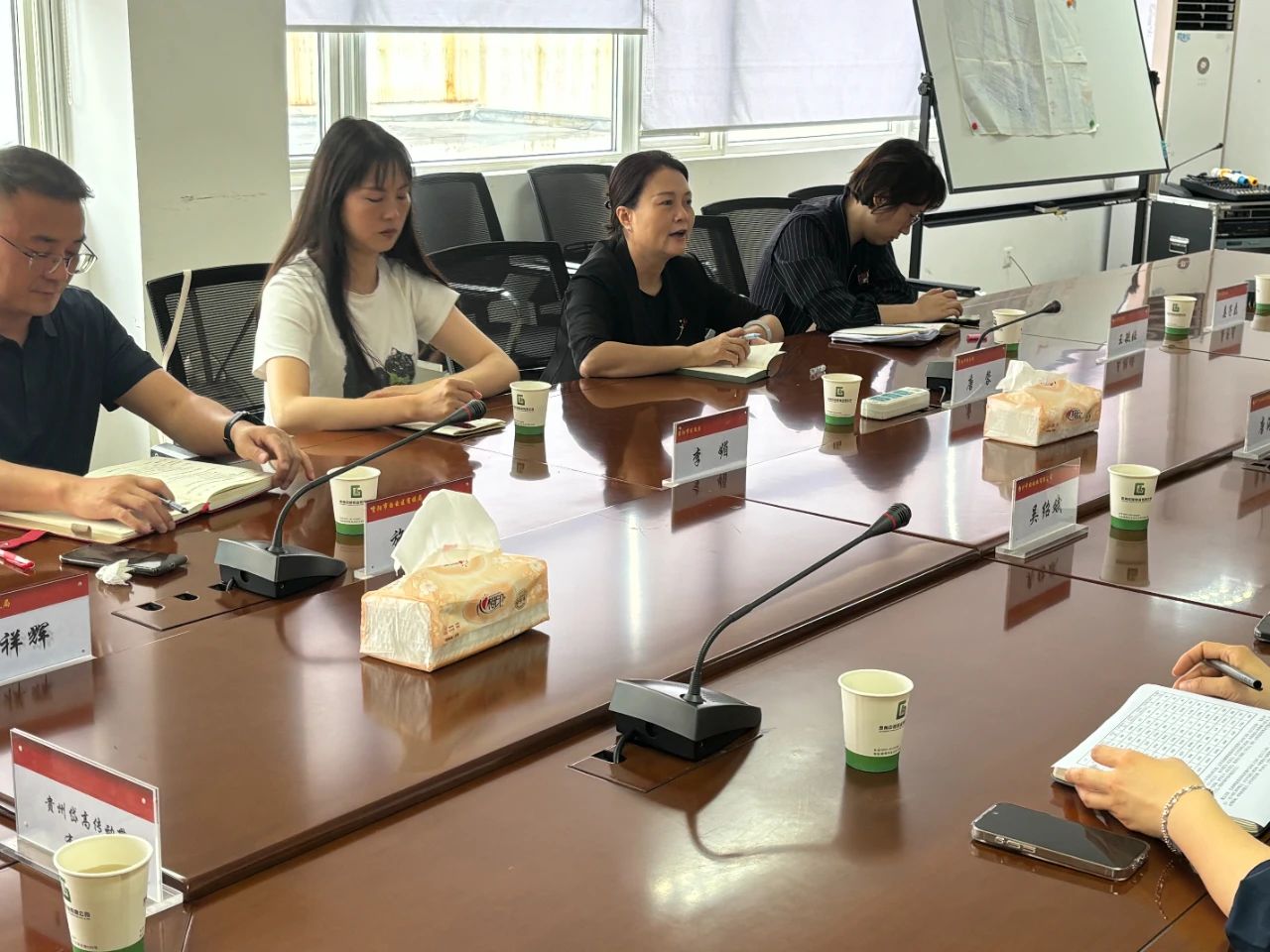 CMD368��������