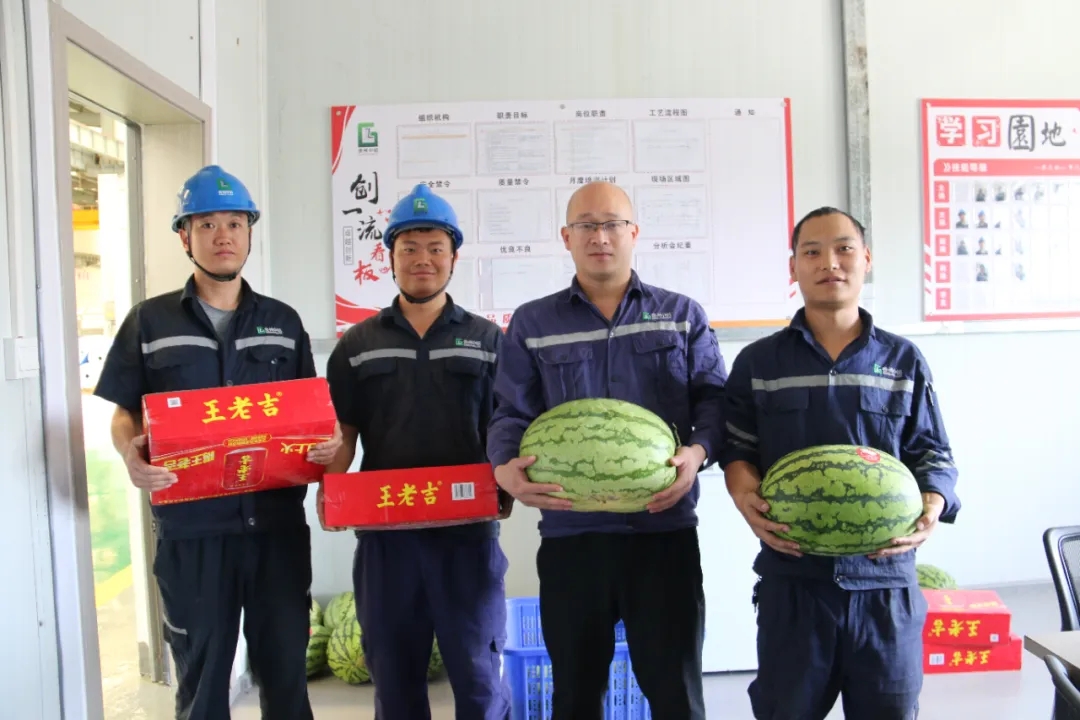 CMD368��������