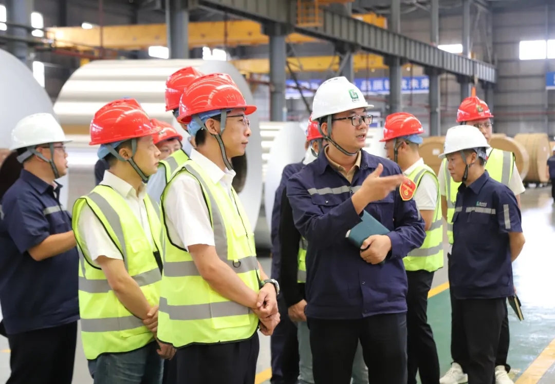 CMD368��������